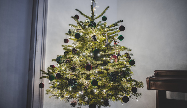 SOUTĚŽ: Rozhodněte o nejhezčím vánočním stromku od našich čtenářů
