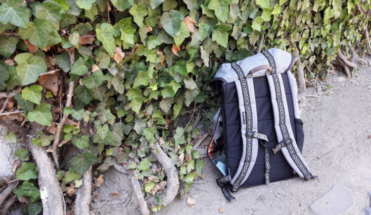 Muž v noci usnul na tramvajové zastávce, přišel o svůj batoh s osobními věcmi