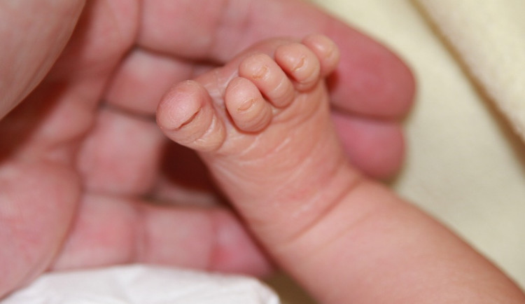 V olomoucké fakultní nemocnici se také dočkali prvního novorozence. Holčička se jmenuje Anetka