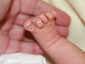 V olomoucké fakultní nemocnici se také dočkali prvního novorozence. Holčička se jmenuje Anetka