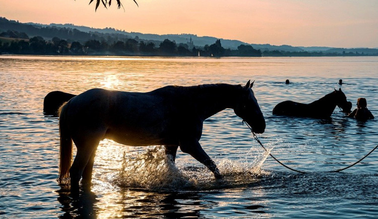 Loňský rok byl nejteplejší za posledních 245 let