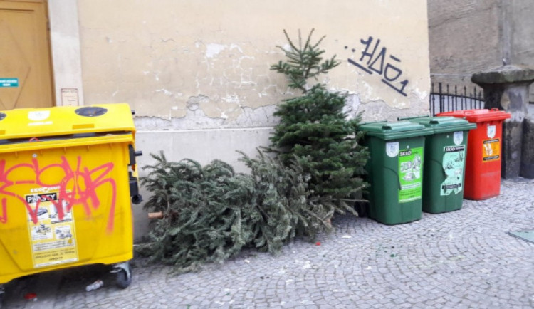 Dnes začíná svoz vánočních stromků. Technické služby posílí počet vozů