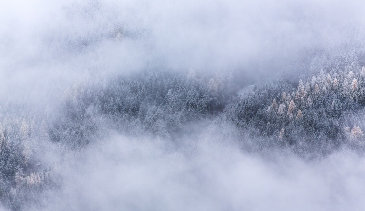 ilustrační fotografie