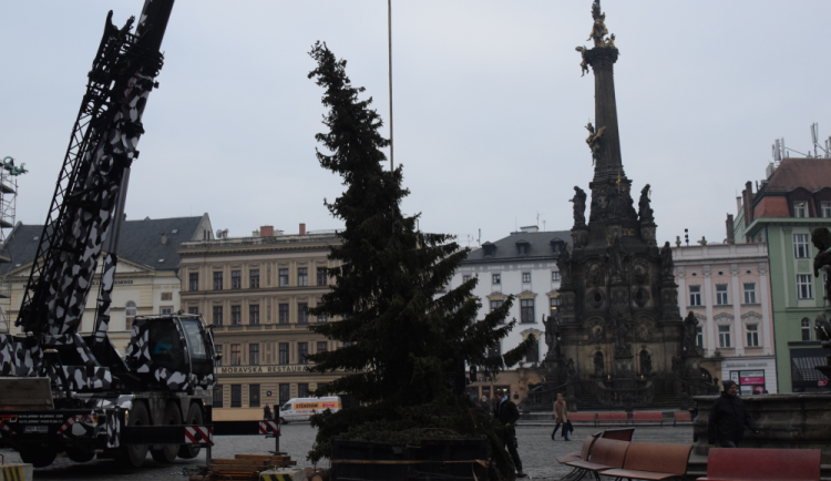 FOTO: Vánočnímu stromku v Olomouci už odzvonilo