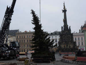 FOTO: Vánočnímu stromku v Olomouci už odzvonilo