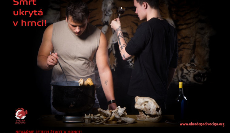 Nevařme jejich životy v hrnci! Osvětová kampaň upozorňuje na nelegální obchod se zvířaty