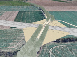 83561603_503975163565183_6379501566847614976_o