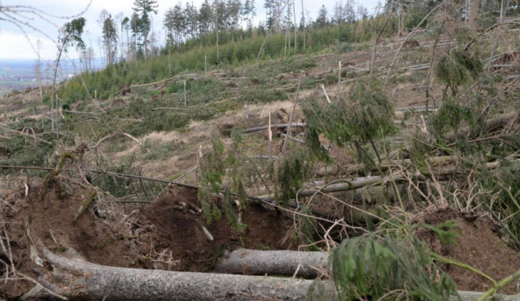 Výše škod na následky živlů se zvýšily desítky procent. Mezi nejpostiženější patří Olomoucký kraj