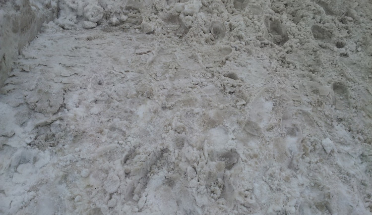 ilustrační fotografie