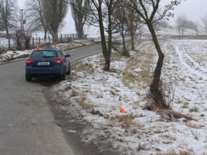 Řidiči se nepodařilo zabránit střetu se srnou. Zvíře nehodu nepřežilo