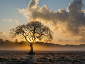 POČASÍ NA ČTVRTEK: Teploty nepřesáhnou čtyři stupně, odpoledne místy slabé sněžení
