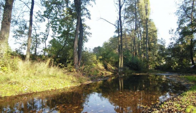 Prostějovské parky jsou kvůli silnému větru zavřené, Olomouc je zatím zavřít neplánuje