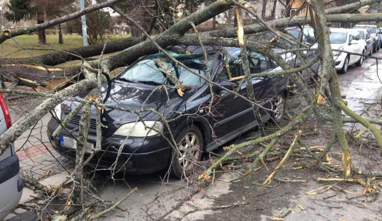 Pád stromu a poškozená auta - taková byla bouře Sabine v ulicích Olomouce