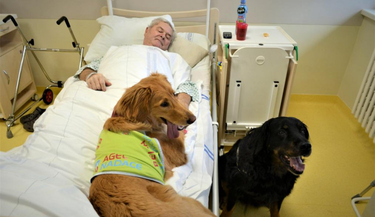 Psí terapeutové pomáhají pacientům LDN v Prostějově