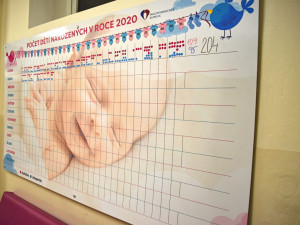 Za leden ve Fakultní nemocnici Olomouc přivedli na svět 204 dětí