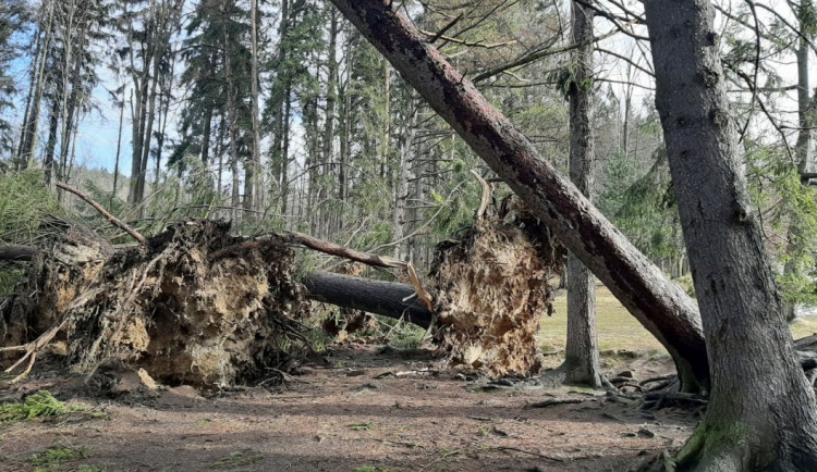 Smetanovy sady v Jeseníku hlásí otevřeno. Škody po bouři se nadále budou odstraňovat