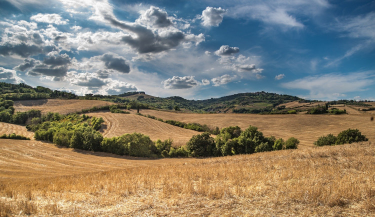 Proběhl další protest proti záboru půdy u Hněvotína. Petici podepsalo 700 lidí