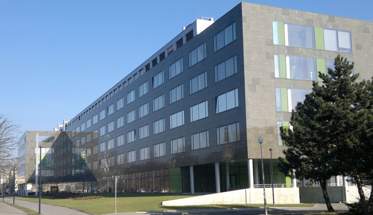 Botanici z Univerzity Palackého objevili na Borneu nepopsaný druh láčkovky