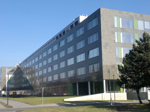 Botanici z Univerzity Palackého objevili na Borneu nepopsaný druh láčkovky