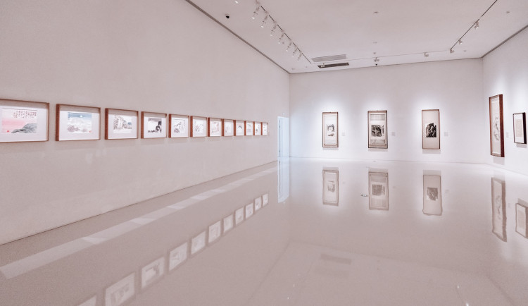 Galerie Bohéma chystá výstavu s názvem Vzpomínky na les