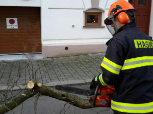 87153947_772784896578503_1749243070450237440_n