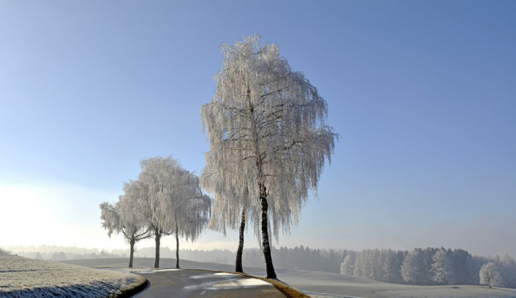 V Jeseníkách připadl nový sníh. Zlepšily se lyžařské podmínky