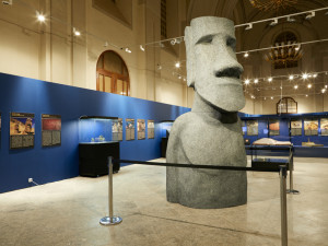 Vlastivědné muzeum letos představuje Křišťálovou lebku, Turínské plátno nebo Ďáblovu bibli