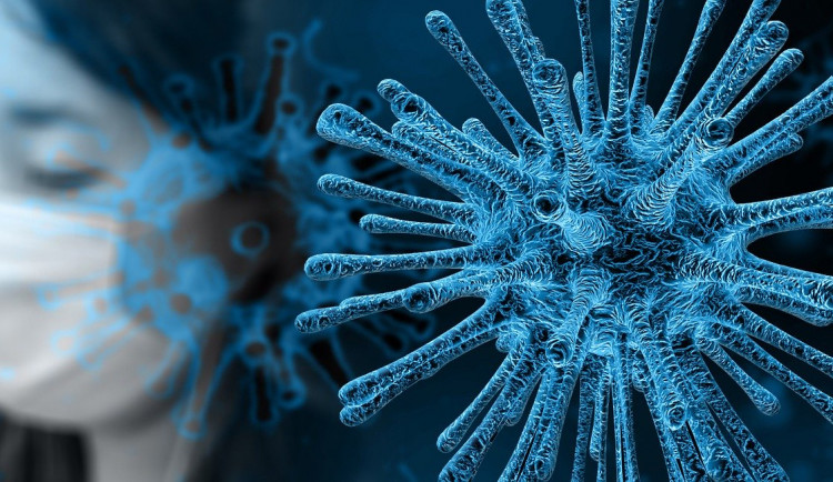 Jaké existují mýty a fámy o koronaviru? Podívejte se na grafiku ministerstva zdravotnictví