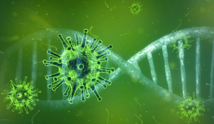 coronavirus-4833754_1920