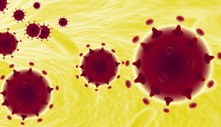 Od pondělí budou uzavřené hranice. Vláda vydala nová opatření