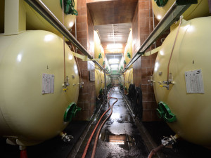 Pivovar Litovel zastavil výrobu, je v uzavřené oblasti. Podnik čítá dvě stovky zaměstnanců
