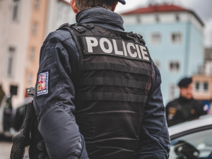 Muž se před policejním vozem v Neředíně postavil do pozoru a zahajloval. Hrozí mu až tři roky vězení