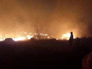 FOTO: Hasiči v kraji během čtyř hodin vyjížděli k devíti požárům lesa