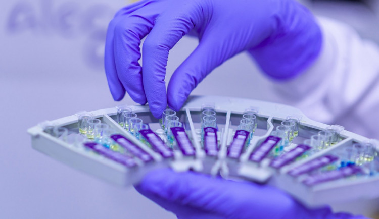 ilustrační fotografie