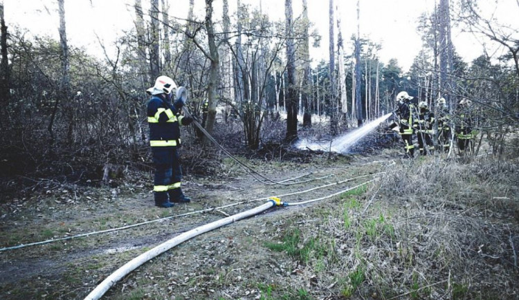 Na Olomoucku hořel les, požár přítomní hasiči krotili do noci. Hasilo se také na Prostějovsku