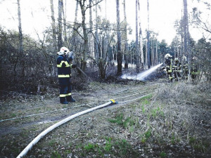 Na Olomoucku hořel les, požár přítomní hasiči krotili do noci. Hasilo se také na Prostějovsku