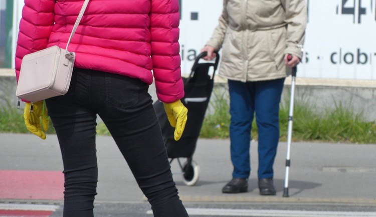 ilustrační fotografie