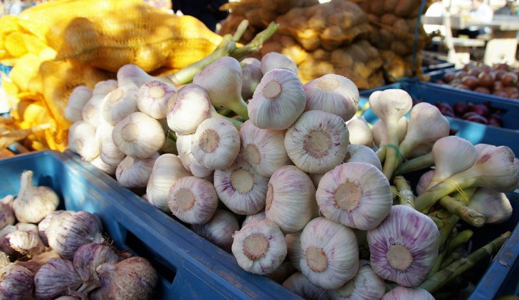 Začala první vlna rozvolňování. Otevírají řemeslníci, mohou se konat farmářské trhy