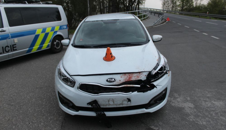 Řidička při jízdě na dálnici srazila srnu, která uhynula