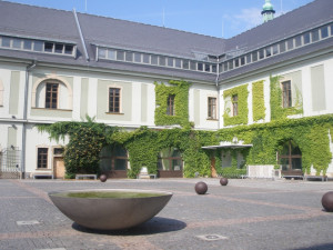 Studenti se na Univerzitu Palackého nevrací, využívají ale otevřené knihovny v omezeném provozu