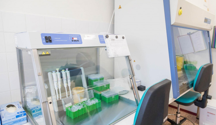 Oddělení laboratorní medicíny Nemocnice Prostějov