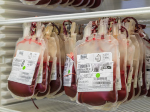 V Jesenické nemocnici probíhají odběry krve i v době koronavirové epidemie