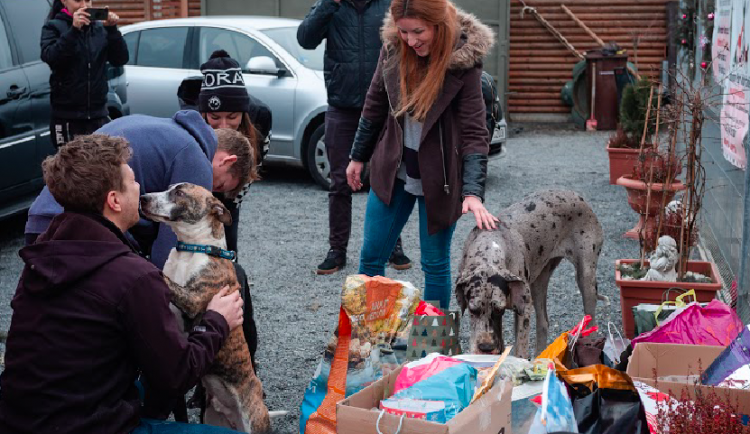 Organizátoři již teď chystají jubilejní pátý ročník sbírky Šťastné a chlupaté, chystají řadu novinek