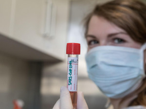 Jesenická nemocnice testuje na koronavirus i samoplátce. Cena testu jsou necelé tři tisíce