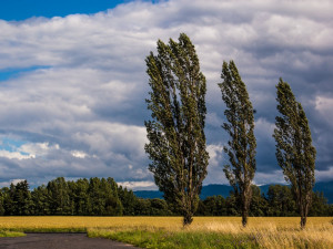 Většinu Česka zasáhne v pondělí silný vítr, na horách může sněžit