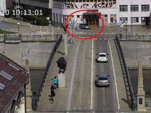 VIDEO: Řidička to přehnala s couváním a narazila do zdi hospody. Její manévr zaznamenala kamera