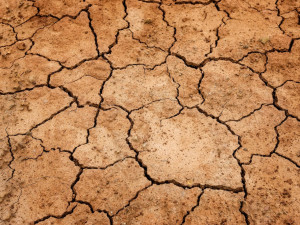 Pokles hladiny podzemních vod i řek bude výrazný. Sucho letos zasáhlo Česko dříve než loni, upozorňuje limnolog Rulík