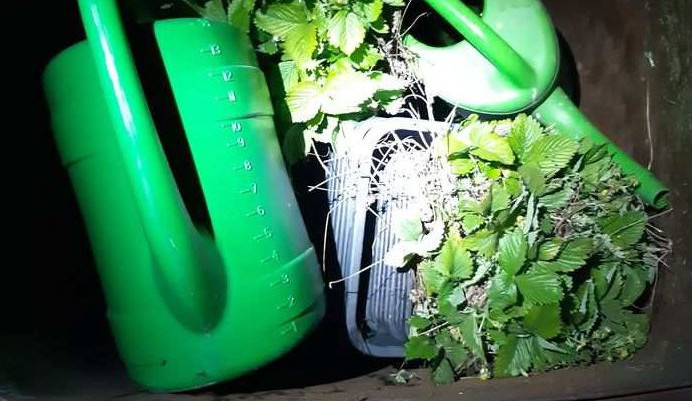 Odcizená popelnice s věcmi