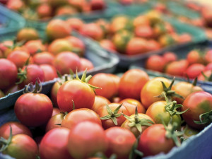 Výstaviště Flora Olomouc o víkendech ožije zahradnickými trhy