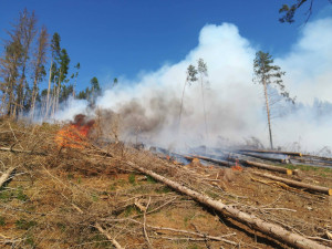 FOTO/VIDEO: Hasiči v neděli likvidovali dva požáry na Olomoucku. Zasahovalo 28 jednotek